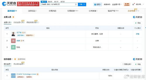 億咖通湖北公司增資至5.5億美元，信息系統集成服務迎來新發展